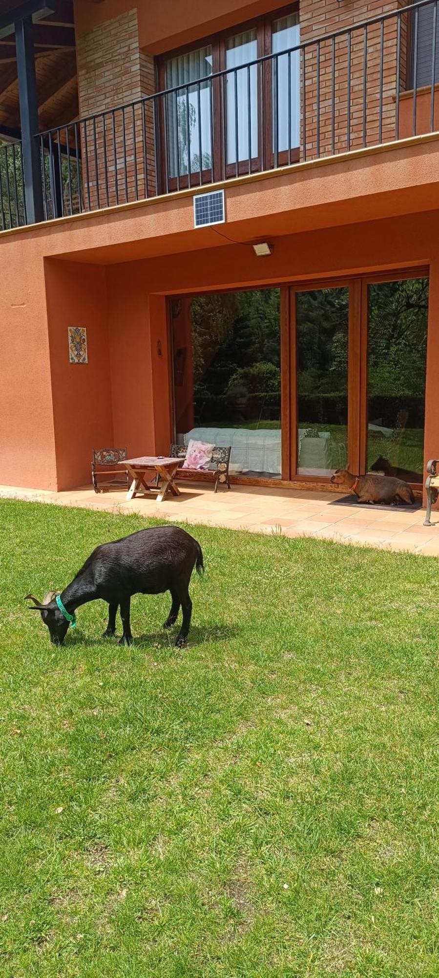 Villa Ca La Montse Viladrau Esterno foto