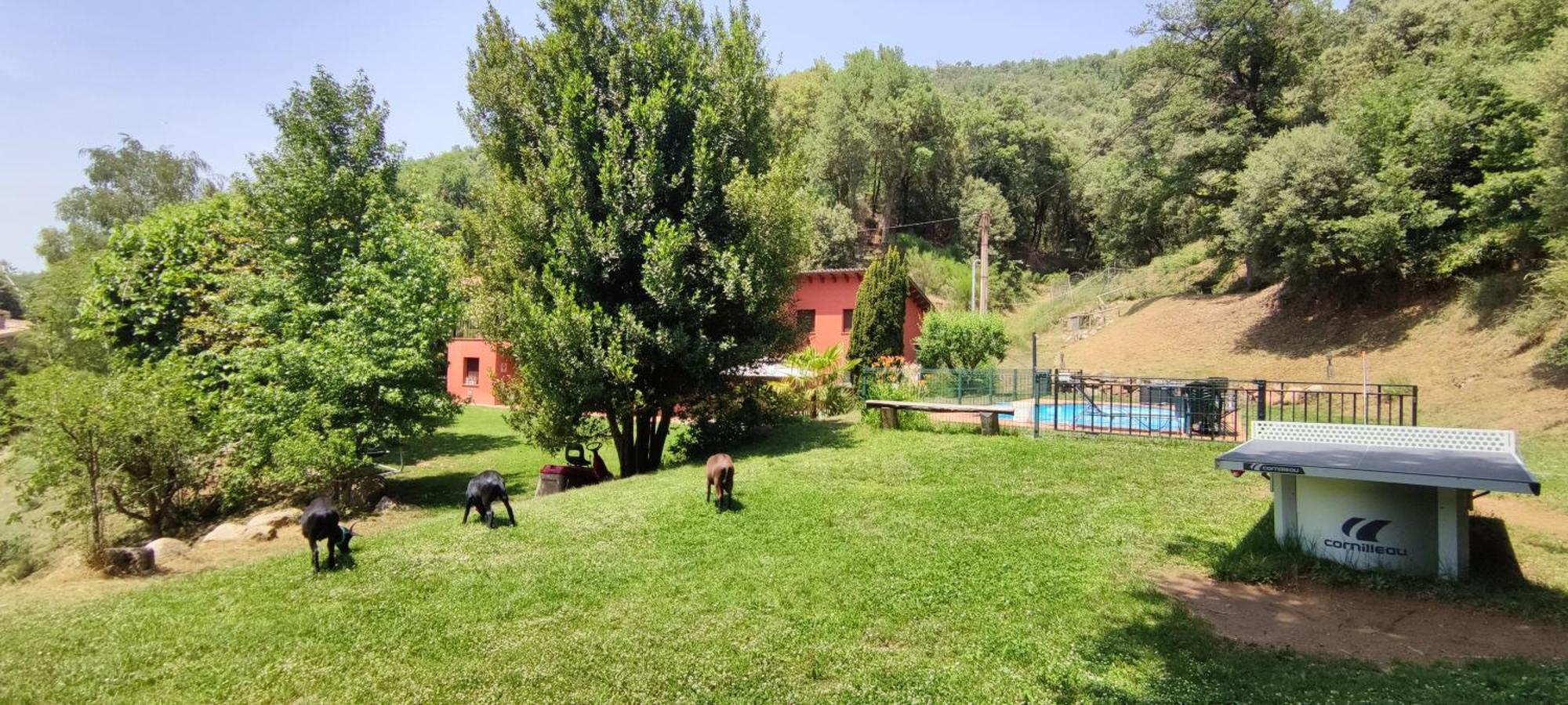 Villa Ca La Montse Viladrau Esterno foto